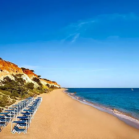Szálloda Pine Cliffs Gardens 5*