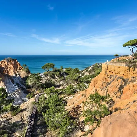 Отель Pine Cliffs Gardens 5*