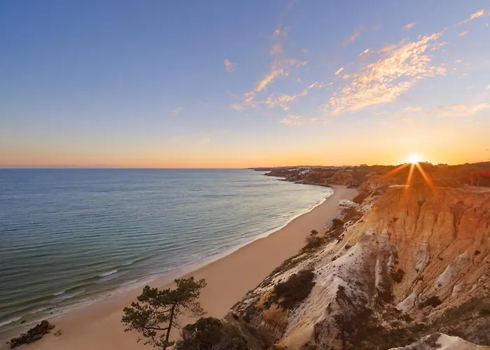 Hotel Pine Cliffs Gardens 5*